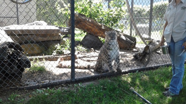 20170811_114848 - Copy