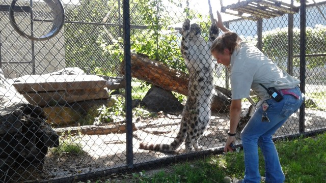 20170811_114943 - Copy