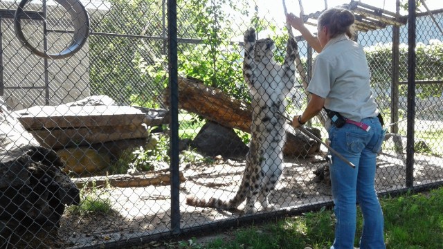 20170811_114949 - Copy