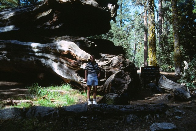 6-88-108redwoods
