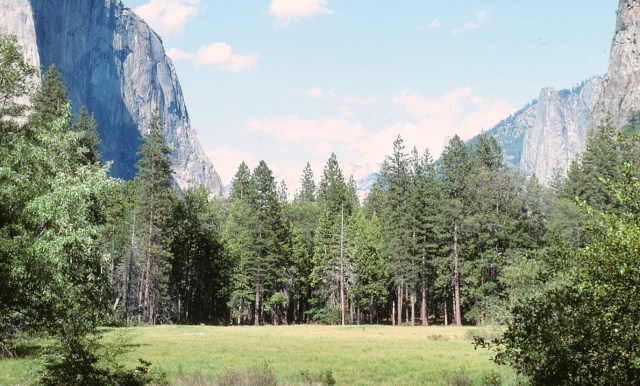 6-88-28yosemite