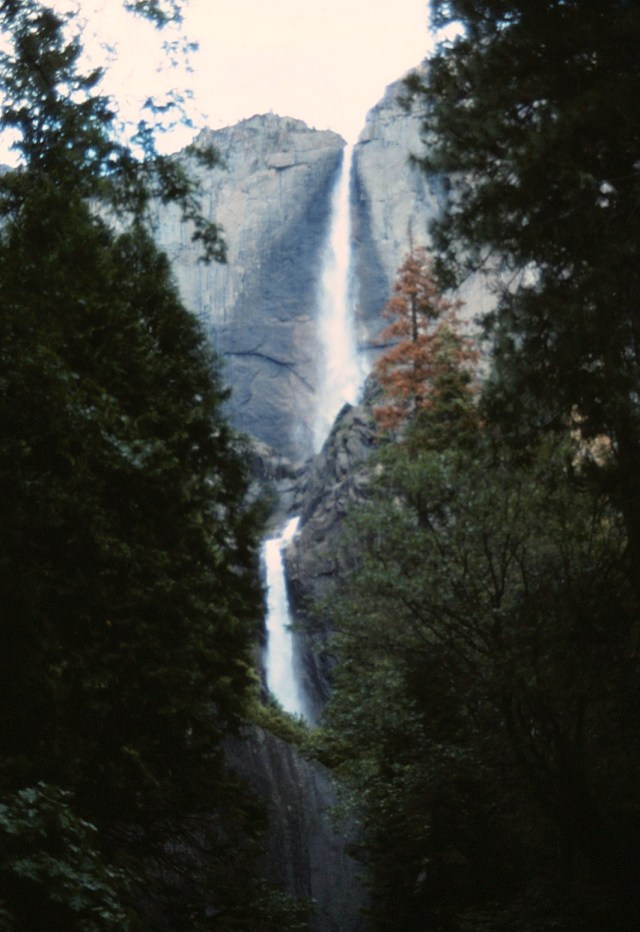 6-88-39yosemite