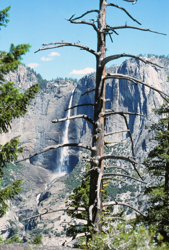 6-88-51yosemite