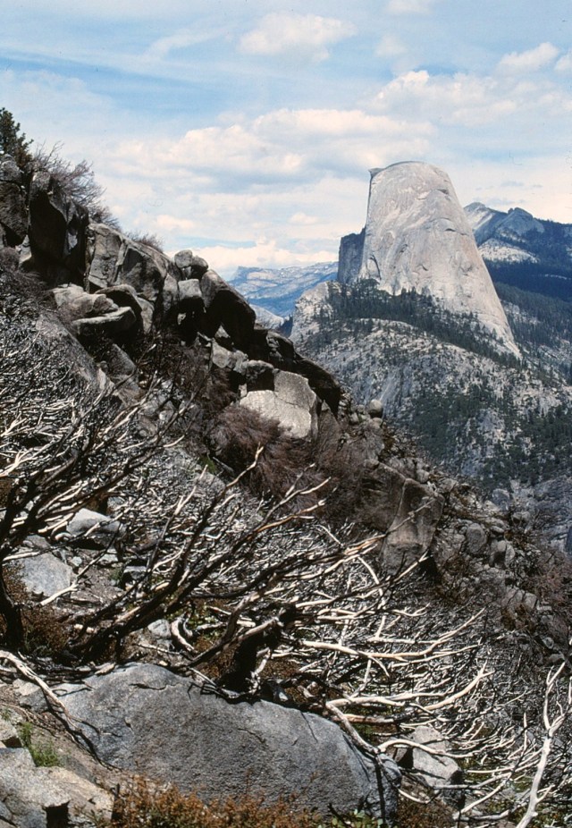 6-88-62yosemite