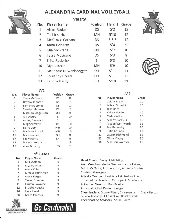 volleyball '17 - Copy