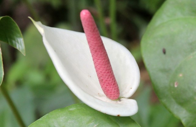 12-20-17-47-1 - Copy