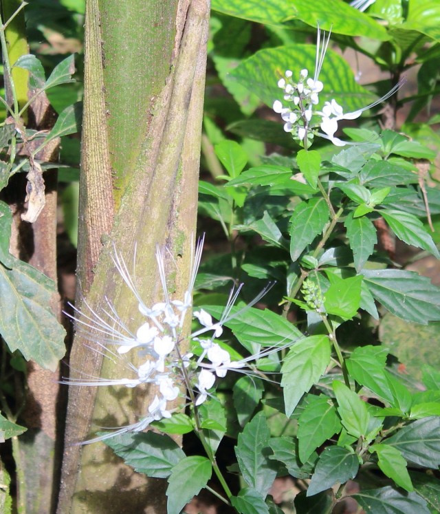 12-20-17-48-1 - Copy