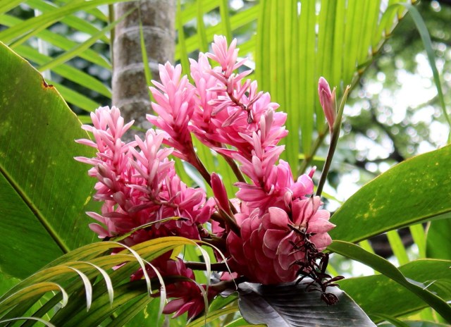 12-20-17-49-1 - Copy