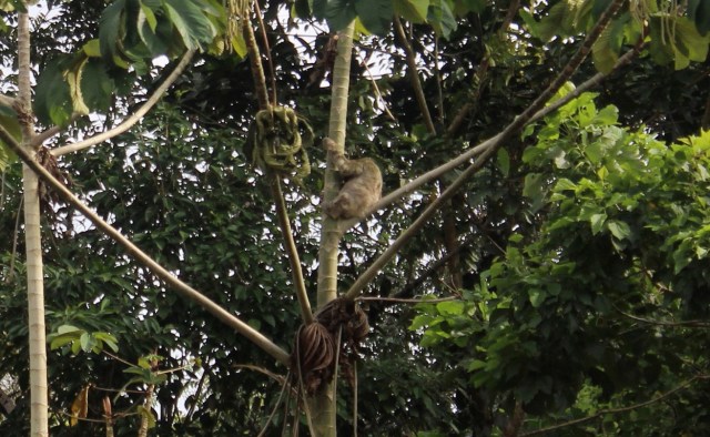 12-22-17-39-1 - Copy