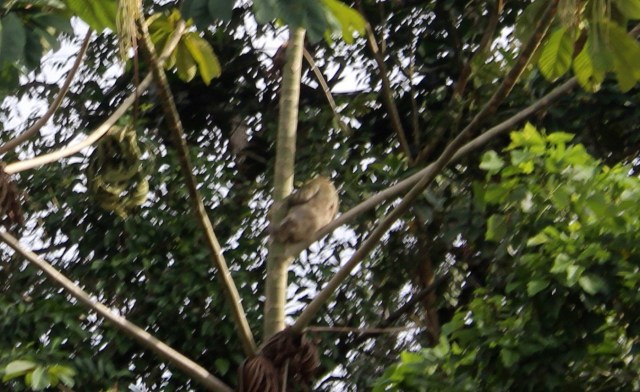 12-22-17-40-1 - Copy