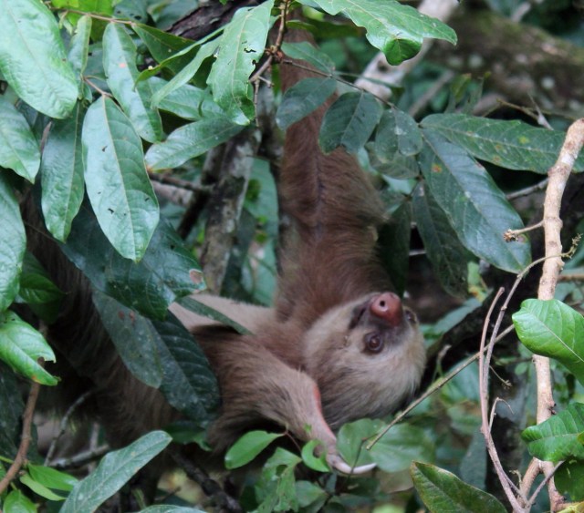 12-22-17-48-1 - Copy