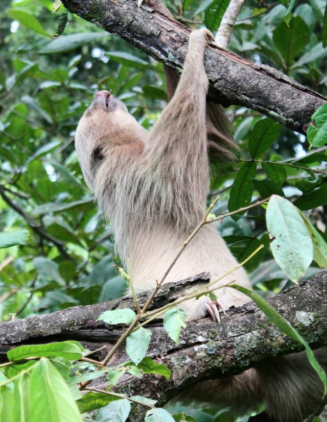 12-22-17-51-1 - Copy