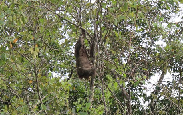 12-22-17-57-1 - Copy