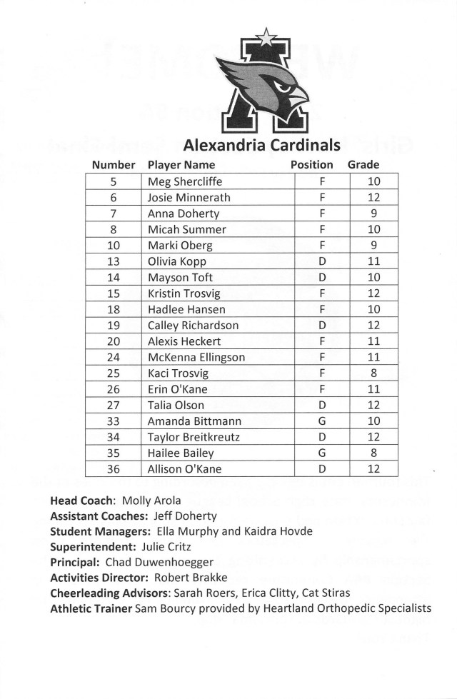 girls hockey sections3 - Copy