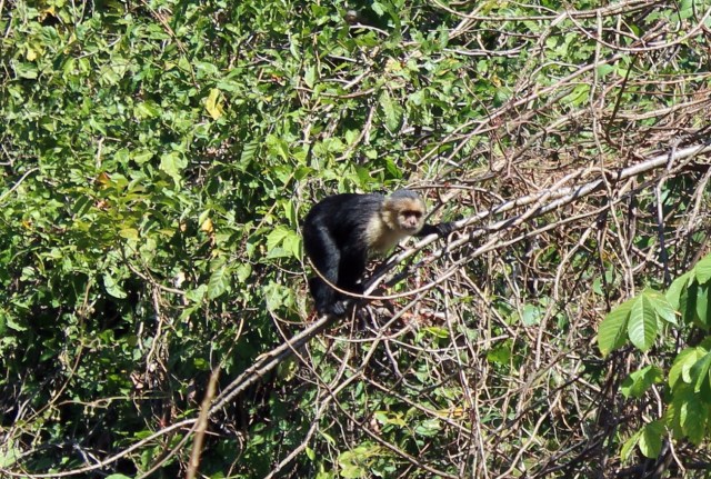 12-26-17-11-1 - Copy