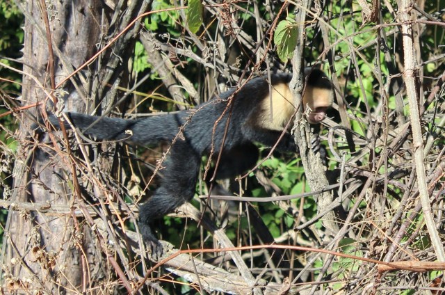 12-26-17-12-1 - Copy