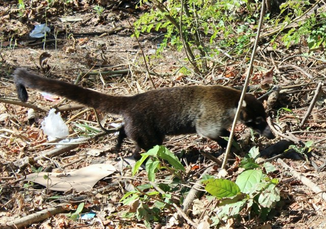 12-26-17-15-1 - Copy