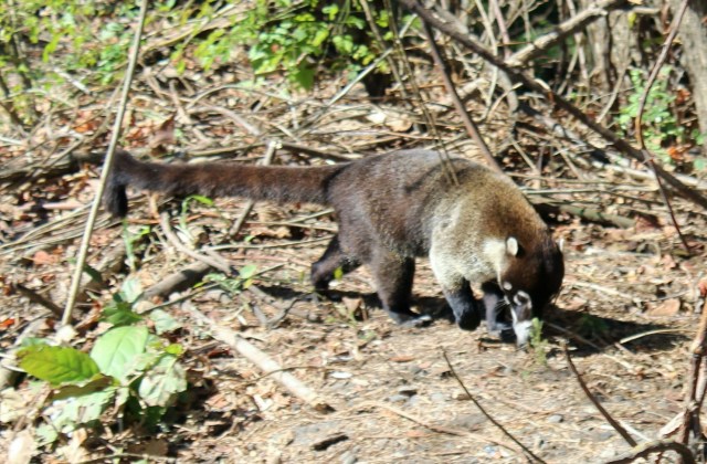 12-26-17-16-1 - Copy