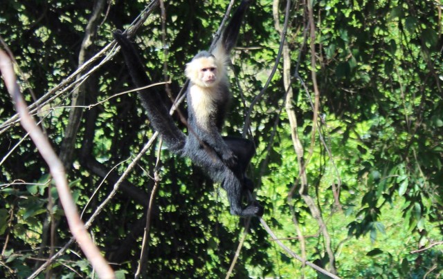 12-26-17-17-1 - Copy